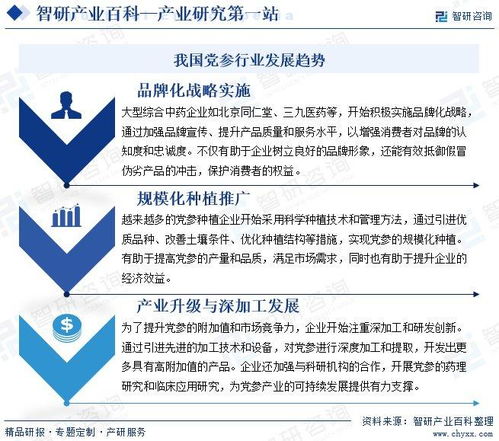 黨參行業(yè)分析報告 市場規(guī)模、供需態(tài)勢、競爭格局及投融資動態(tài)解析