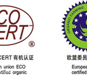 太原地理標(biāo)志商標(biāo)代理 守護(hù)地方特色，助力品牌崛起